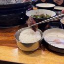 숯불맛고기