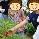 봉암초등학교(병설) 이미지