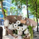 진식디자인 이미지