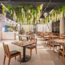 슈바이처도르프 이미지