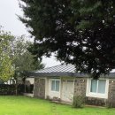 스테이 월화 이미지