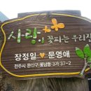 사랑마을민박 Daum카페