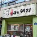 불품은 돼지 이미지