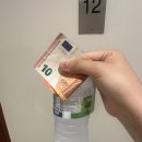 🇫🇷 파리 디즈니랜드 어트랙션만 17개 탄 사람의 후기