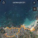 김녕바이브