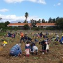 초록농장 이미지