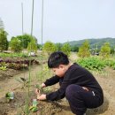 1000짱(상주점)