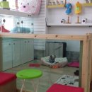 똥강아지애견샵 이미지