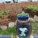 홍천군노인복지관 이미지