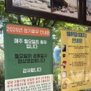 서운칼국수 - 6574 | N번째 방문하는 주인장의 최애 시흥 맛집, [서운칼국수] 내 돈 내산 후기