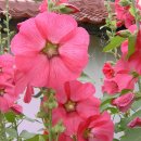 생초초등학교 이미지