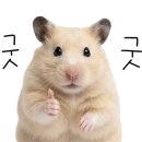 불타는 뽑기방 네이버블로그