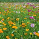 사랑한스푼 이미지