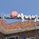 율리회살아있네