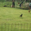 갑순이네 이미지