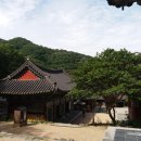 신세계 관광안내소 이미지