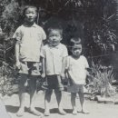 흥농농약종묘사 이미지