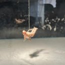 씨스페이스&원서점영등점 | [K-경복궁 · 안국 루트] 아라리오뮤지엄 인 스페이스_ 같은 작품 앞에서 서로 다른 이야기를 꺼냈다