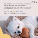 견물화식 네이버블로그
