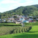 임포마을회관 이미지