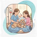 가비장의 | [강아지] 비장 종양 파열 이후.. 항암 1차 후기 (+실제 영수증)