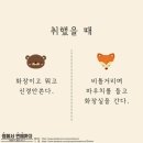 곰과여우