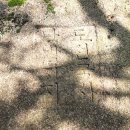 월암사 주차장 이미지