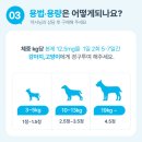 루스켄넬