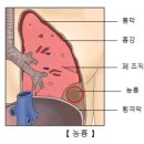 신화메디칼 이미지