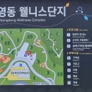 영동 일라이트 휴양빌리지 네이버블로그