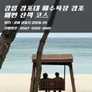 강릉 경포대 해수욕장 후기 경포해변 산책 드라이브 코스