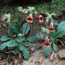 지황한의원 이미지