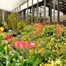 영농조합법인정원농장 이미지