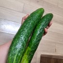 북성농장 이미지