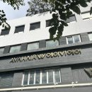 신촌애견미용실 이미지