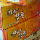 애정농장 | 제주 카라향 선물 제주도 카라향 하우스 농장 택배 주문 후기