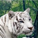 화성반월중학교 이미지