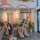 제이앤아이 | 제이앤파크호텔 키즈룸 후기｜아이와 가기 좋은 객실 솔직 리뷰