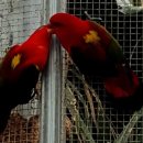 경주버드파크 이미지