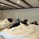 휴림펜션 | 경주월드 근처 숙소 경주 휴림풀빌라 독채 펜션 모던F 방문 후기