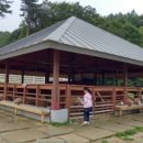 형식목장 이미지