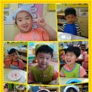 개미통나무 이미지