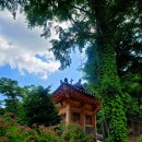 은이성지 김가항성당 | 은이성지.골매마실성지/김가항성당.김대건 신부님