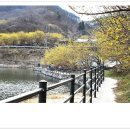 현천마을 이미지