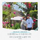 궁전여관 | 신혼여행 2일차 : 파리근교투어(고흐마을, 지베르니 모네의 정원, 베르사유궁전), 개선문, 샹제리제 맛집