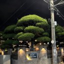 항도장 | 군산 숙소 항도장 여관(23. 3. 25 숙박, 근대화거리 근처 군산 숙소)