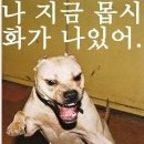 어떤 모카의 층간소음 대처법. txt (from 화발) 이미지