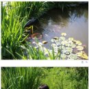 솔로몬 펜션 이미지