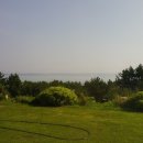 메이플비치호텔 이미지