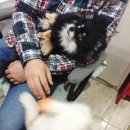 애니몰하우스 이미지